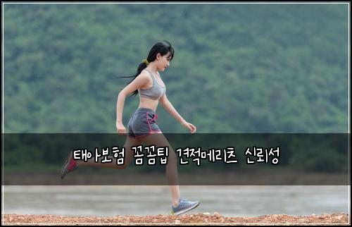 태아보험 꼼꼼팁  견적메리츠 신뢰성