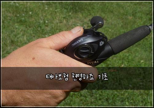 태아보험 현명하죠  기초
