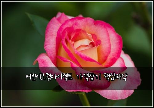 어린이보험다이렉트 가격잡기 핵심파악