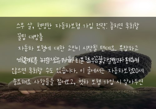  스무 살, 현명한 자동차보험 가입 전략: 놓치면 후회할 꿀팁 대방출자동차를 처음 소유하게 되는 스무 살, 설렘과 동시에 자동차 보험에 대한 고민이 시작될 텐데요. 복잡하고 어렵게만 느껴지는 자동차 보험, 꼼꼼하게 따져보지 않으면 후회할 수도 있습니다. 이 글에서는 자동차보험20세 중요해요 사항들을 짚어보고, 첫차 보험 가입 시 알아두면