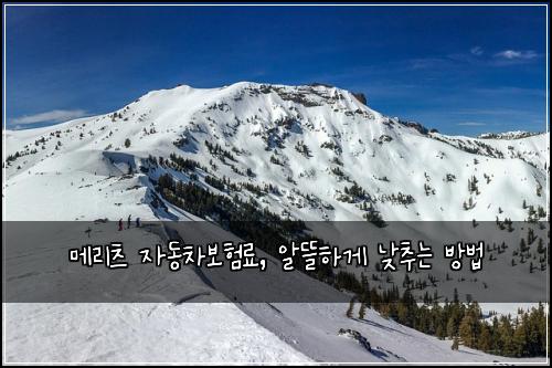 메리츠 자동차보험료, 알뜰하게 낮추는 방법