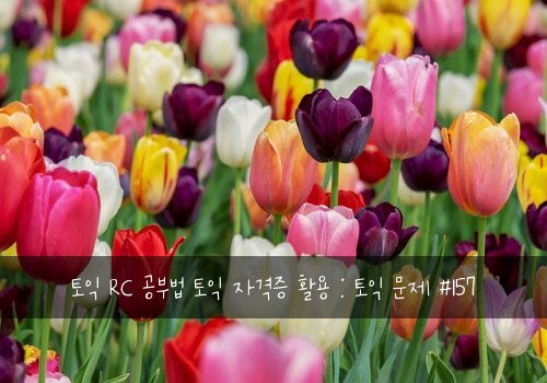 토익 RC 공부법 토익 자격증 활용 : 토익 문제 #157