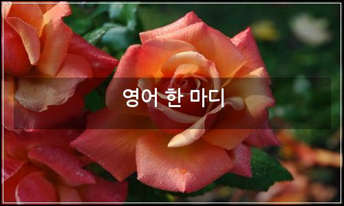 오늘의 이미지
