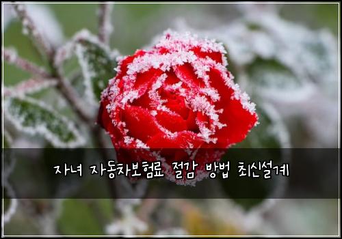 자녀 자동차보험료 절감 방법 최신설계