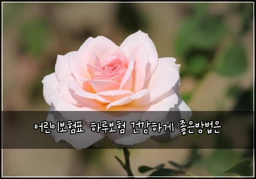 어린이보험표 하루보험 건강하게 좋은방법은