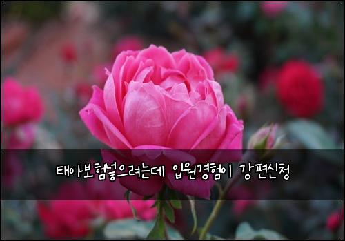 태아보험넣으려는데 입원경험이 강편신청