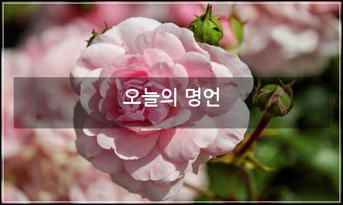 오늘의 이미지