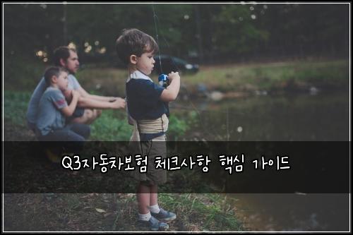 Q3자동차보험 체크사항 핵심 가이드