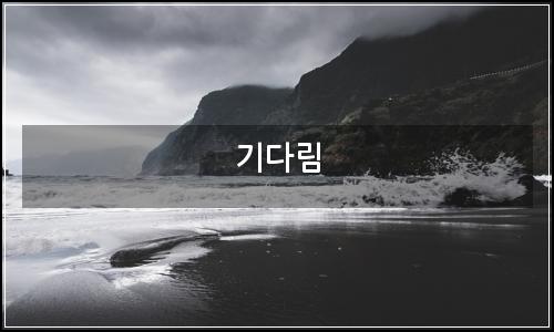 오늘의 이미지