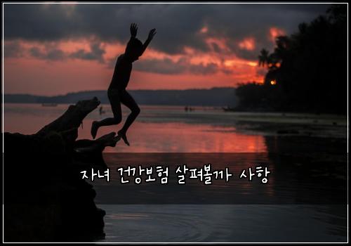 자녀 건강보험 살펴볼까  사항