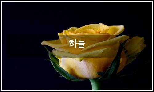오늘의 이미지
