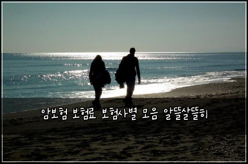 암보험 보험료 보험사별 모음 알뜰살뜰히