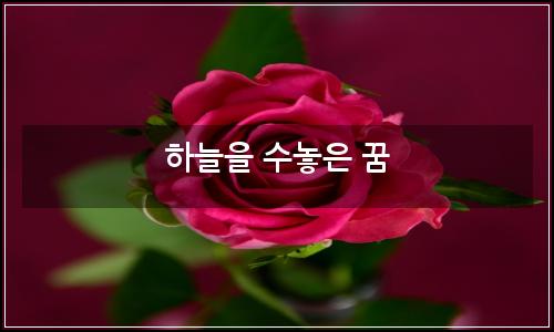 오늘의 이미지
