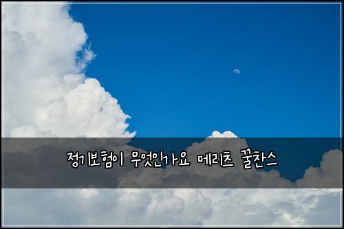 정기보험이 무엇인가요 메리츠 꿀찬스