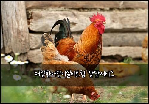 저렴한어린이실비보험 상담서비스 