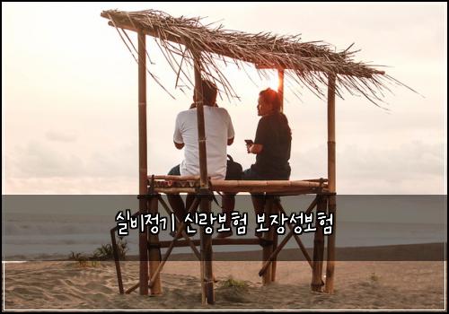 실비정기 신랑보험 보장성보험 