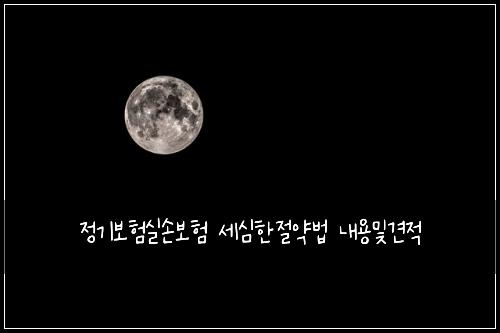 정기보험실손보험 세심한절약법 내용및견적