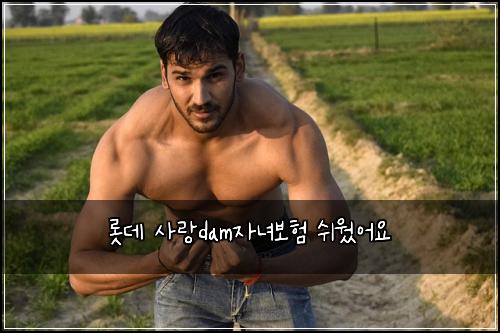 롯데 사랑dam자녀보험 쉬웠어요 