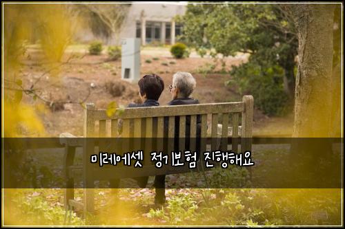 미레에셋 정기보험 진행해요 