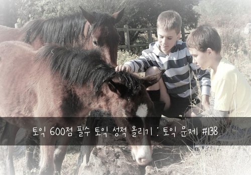 토익 600점 필수 토익 성적 올리기 : 토익 문제 #138