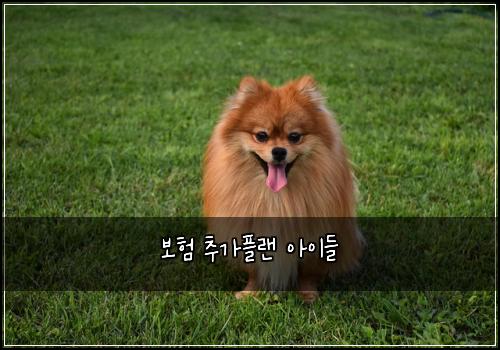 보험 추가플랜  아이들