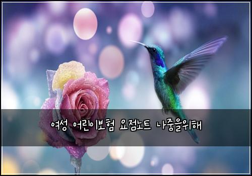 여성 어린이보험 요점노트  나중을위해