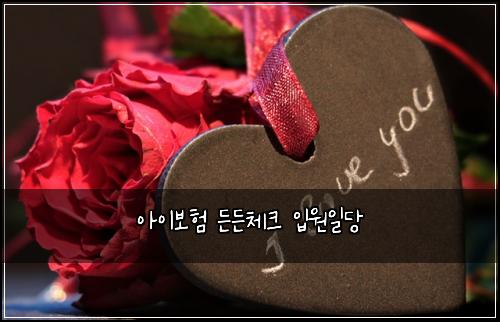 아이보험 든든체크  입원일당