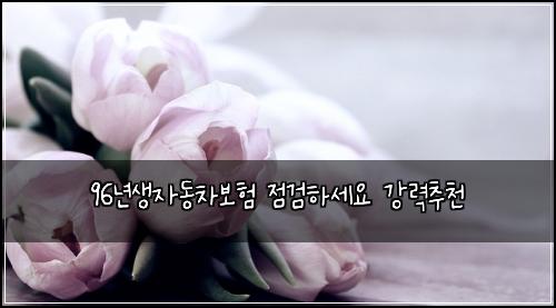 96년생자동차보험 점검하세요  강력추천