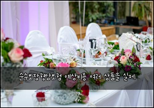 순수보장형암보험 예상비용  여러 상품을 실제