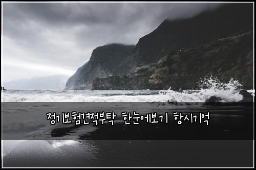 정기보험견적부탁 한눈에보기 항시기억