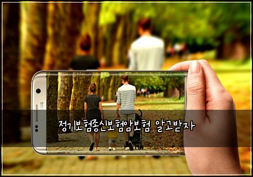 정기보험종신보험암보험 알고받자