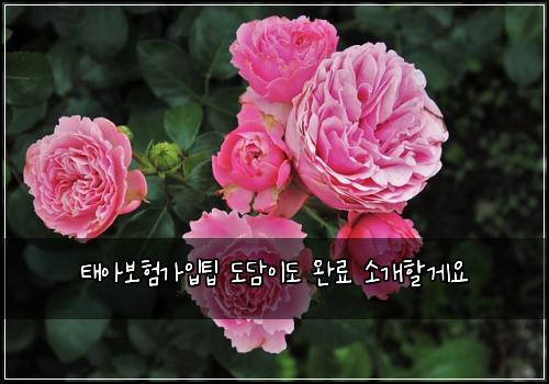 태아보험가입팁 도담이도 완료 소개할게요