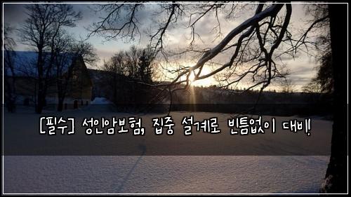  [필수] 성인암보험, 집중 설계로 빈틈없이 대비!