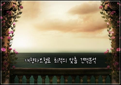 대형차보험료 최적의 맞춤 견적분석