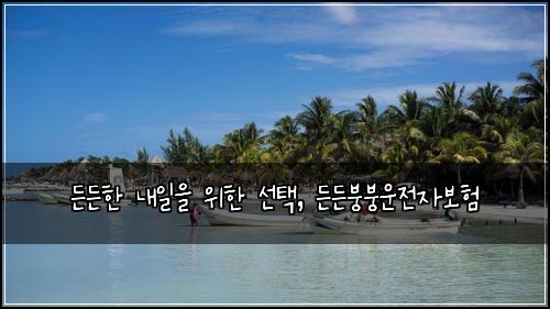  든든한 내일을 위한 선택, 든든붕붕운전자보험