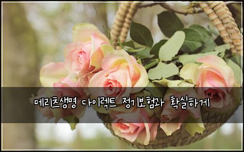 메리츠생명 다이렉트 정기보험과 확실하게