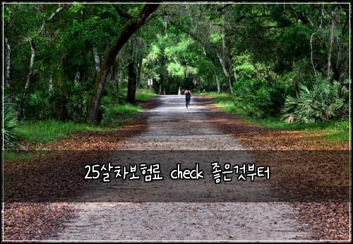 25살차보험료 check 좋은것부터