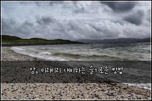 암, 미리미리 대비하는 슬기로운 방법