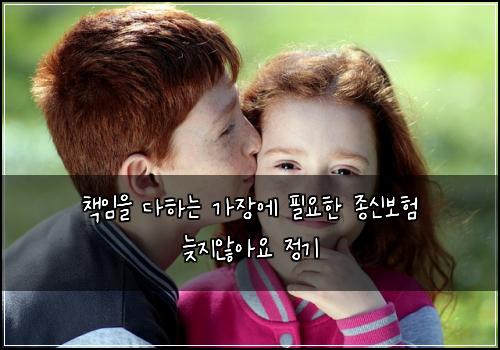 책임을 다하는 가장에 필요한 종신보험 늦지않아요  정기