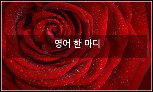 오늘의 이미지