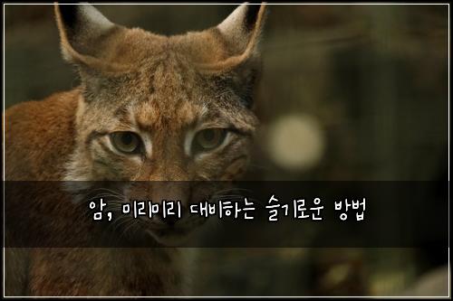암, 미리미리 대비하는 슬기로운 방법