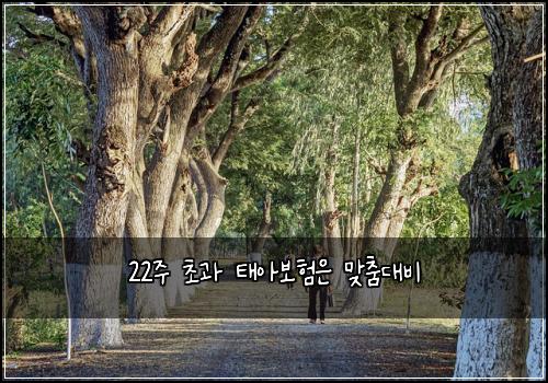22์ฃผ ์ด๊ณผ ํ์๋ณดํ์ ๋ง์ถค๋๋น