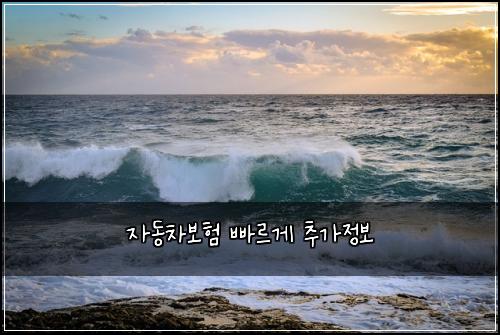 자동차보험 빠르게  추가정보