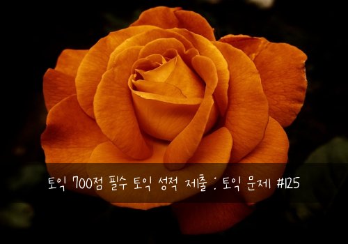 토익 700점 필수 토익 성적 제출 : 토익 문제 #125