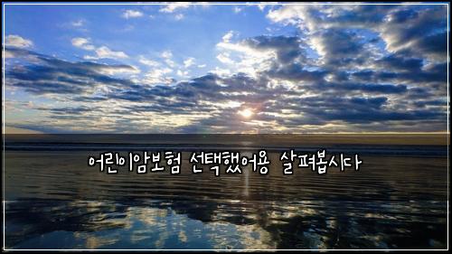 어린이암보험 선택했어용  살펴봅시다