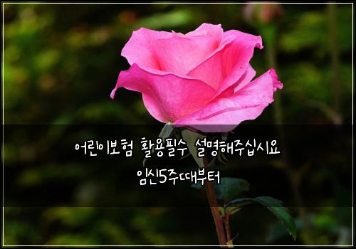 어린이보험 활용필수  설명해주십시요 임신5주때부터