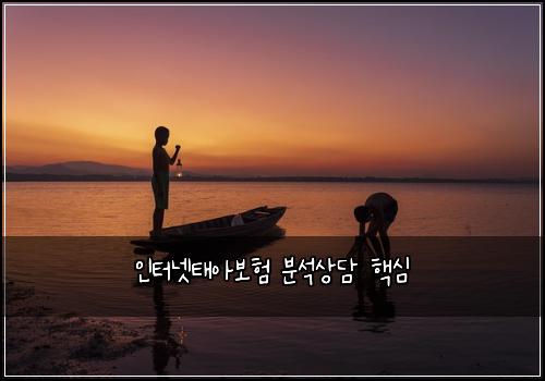 인터넷태아보험 분석상담  핵심