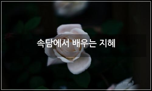 오늘의 이미지