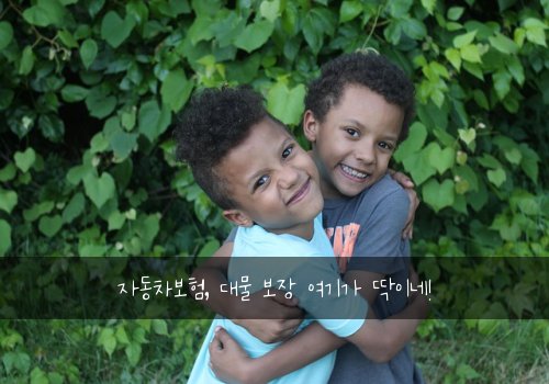 자동차보험, 대물 보장 여기가 딱이네!