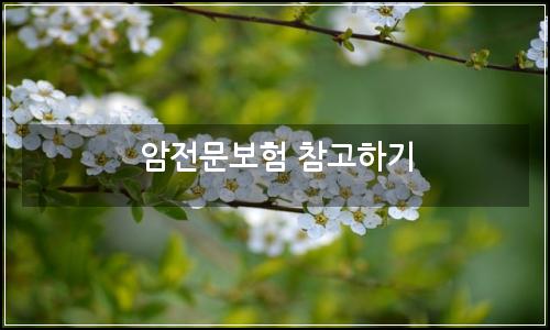 오늘의 이미지